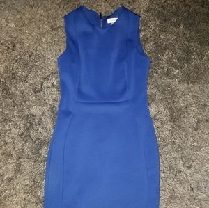 Calvin Klein Women's Bodycon Royal Blue Dress Sz 8